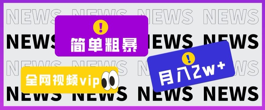 简单粗暴零成本，高回报，全网视频VIP掘金项目，月入2万＋【揭秘】-南青云资源库