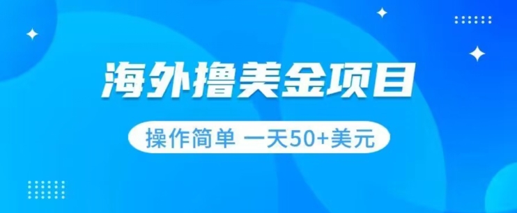 撸美金项目无门槛操作简单小白一天50+美刀-南青云资源库
