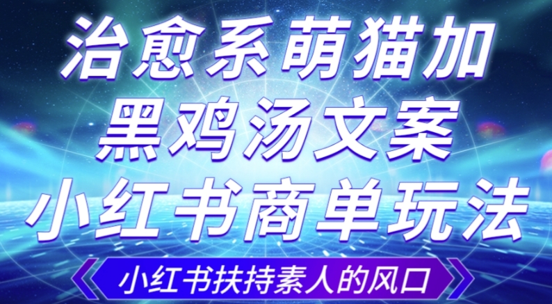 治愈系萌猫加+黑鸡汤文案，小红书商单玩法，3~10天涨到1000粉，一单200左右-南青云资源库