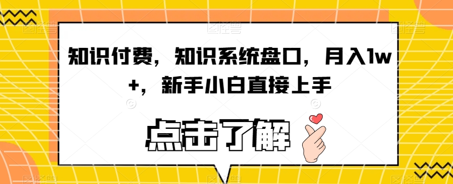知识付费，知识系统盘口，月入1w+，新手小白直接上手-南青云资源库