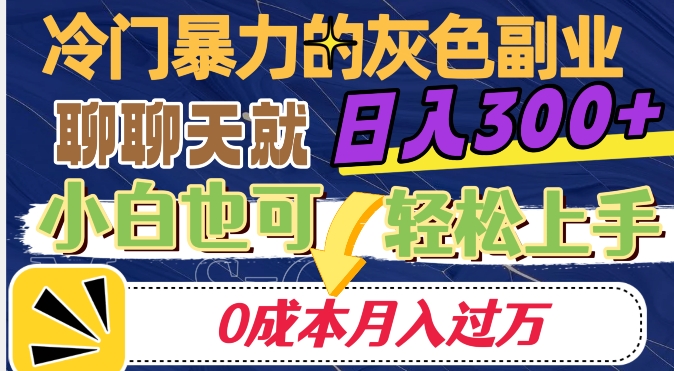 冷门暴利的副业项目，聊聊天就能日入300+，0成本月入过万【揭秘】-南青云资源库