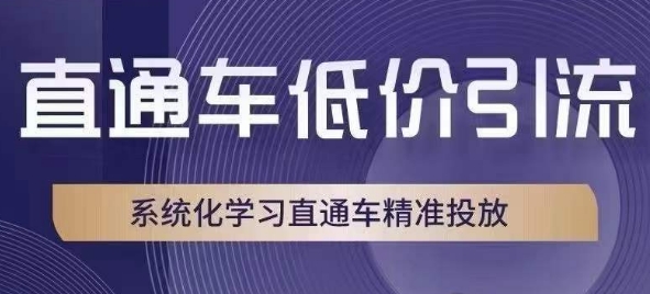 直通车低价引流课，系统化学习直通车精准投放-南青云资源库
