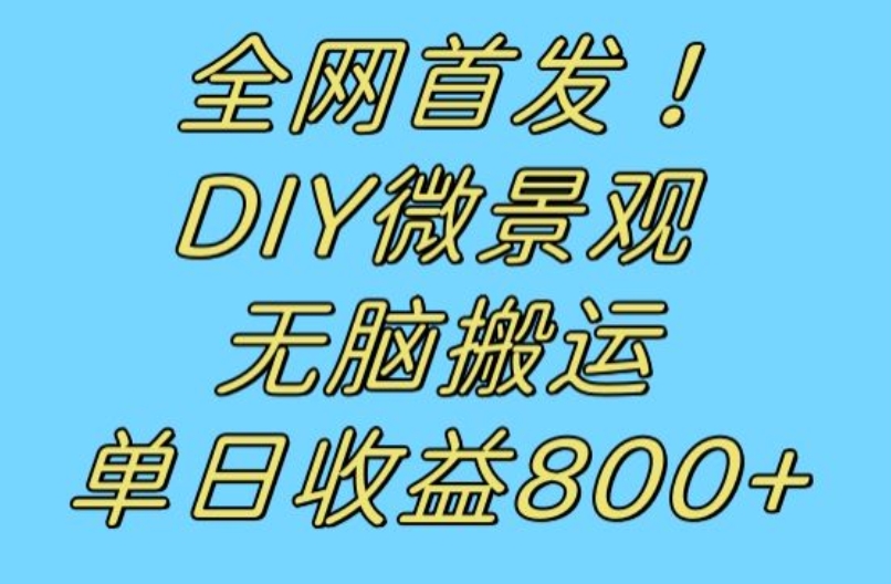 全网首发冷门赛道！DIY微景观，无脑搬运视频，日收益800+【揭秘】-南青云资源库