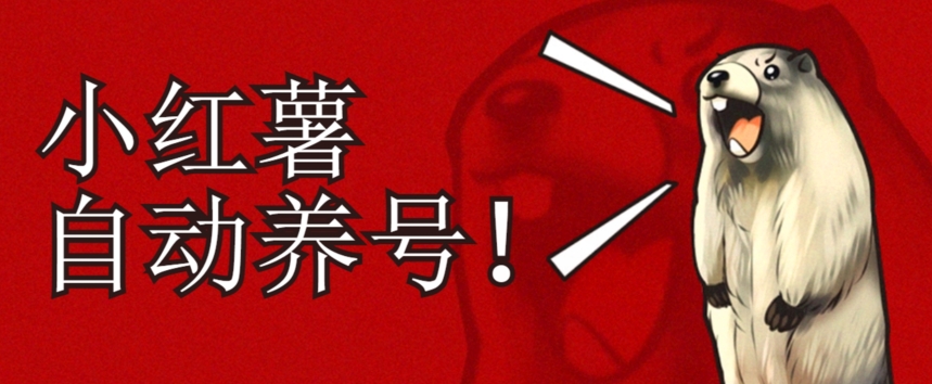 小红书养号秘籍，如何自动涨粉清晰系统标签打造高权重账号【揭秘】-南青云资源库