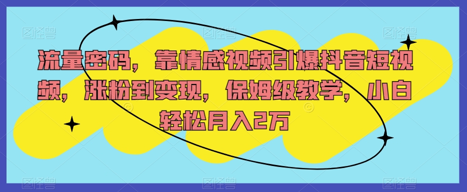 流量密码，靠情感视频引爆抖音短视频，涨粉到变现，保姆级教学，小白轻松月入2万【揭秘】-南青云资源库