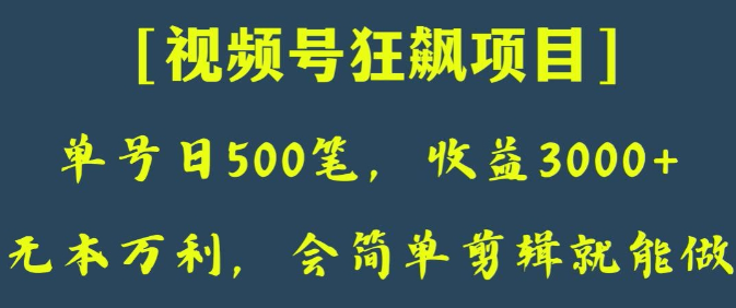 日收款500笔，纯利润3000+，视频号狂飙项目，会简单剪辑就能做【揭秘】-南青云资源库