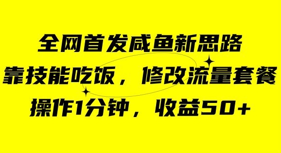 咸鱼冷门新玩法，靠“技能吃饭”，修改流量套餐，操作1分钟，收益50【揭秘】-南青云资源库