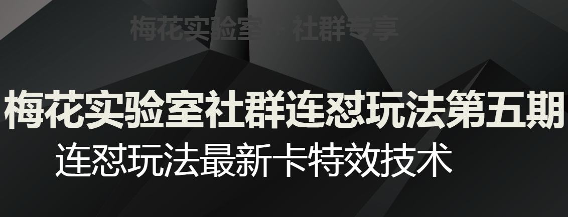 梅花实验室社群连怼玩法第五期，视频号连怼玩法最新卡特效技术-南青云资源库