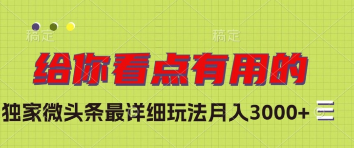 独家微头条最详细玩法，月入3000+【揭秘】-南青云资源库