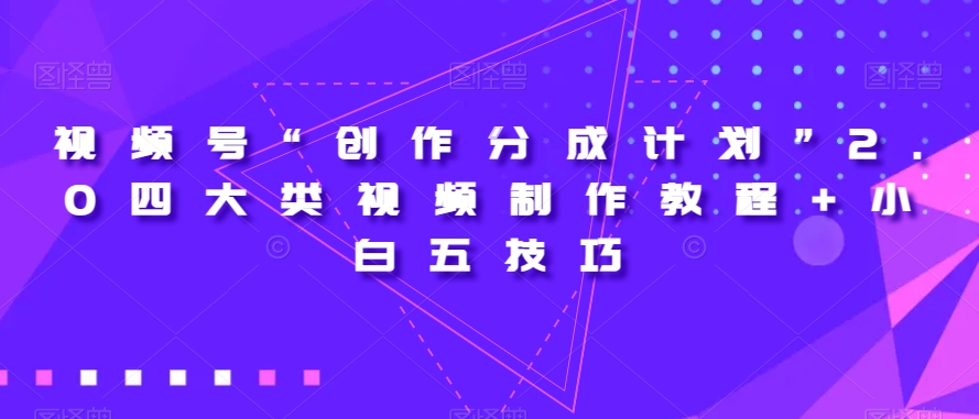 视频号“创作分成计划”2.0四大类视频制作教程+小白五技巧【揭秘】-南青云资源库