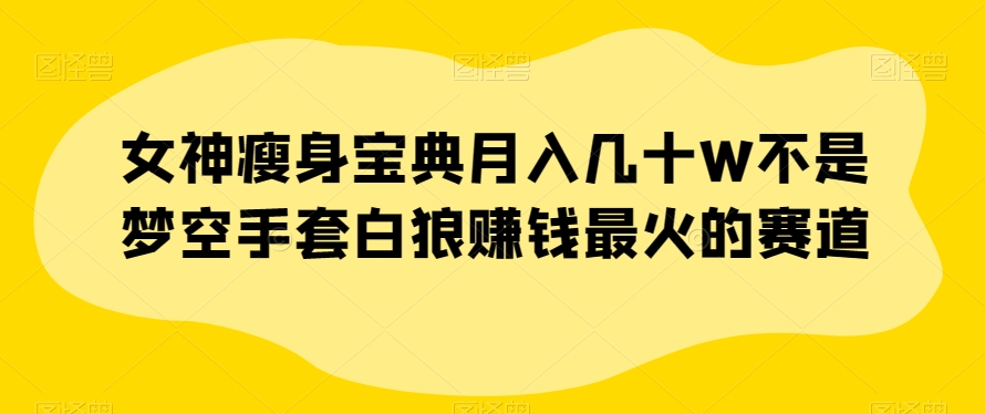 女神瘦身宝典月入几十W不是梦空手套白狼赚钱最火的赛道【揭秘】-南青云资源库