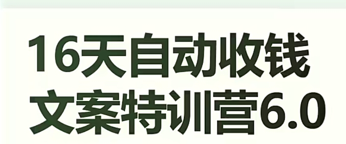 16天自动收钱文案特训营6.0，学会儿每天自动咔咔收钱-南青云资源库