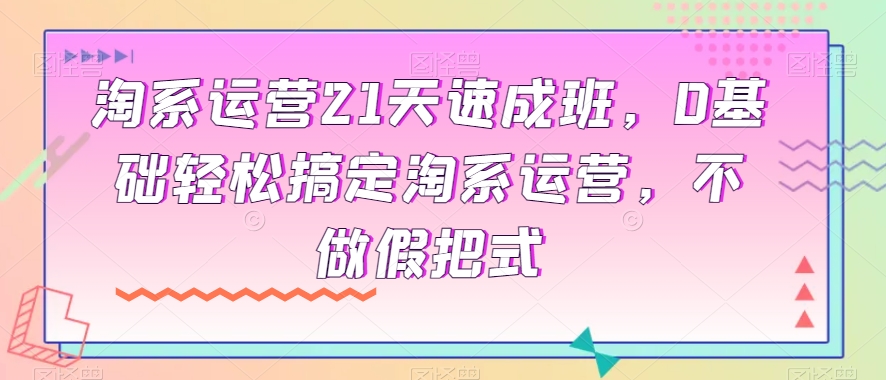 淘系运营21天速成班，0基础轻松搞定淘系运营，不做假把式-南青云资源库