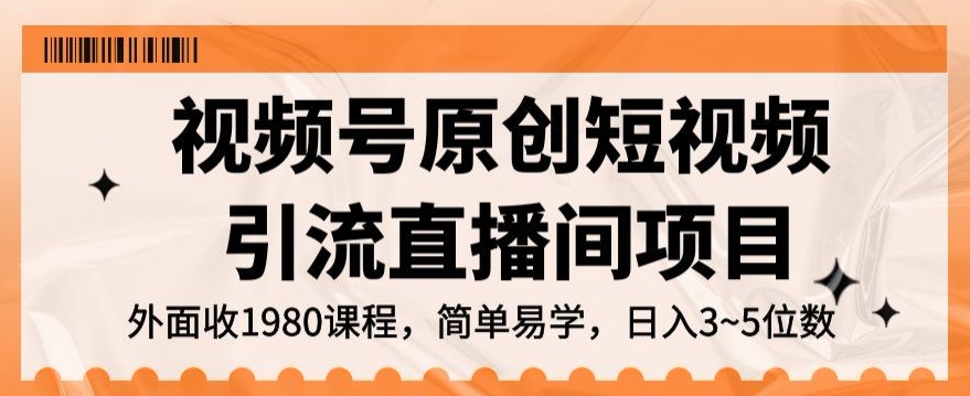 视频号原创短视频引流直播间项目，日入3~5五位数【揭秘】-南青云资源库