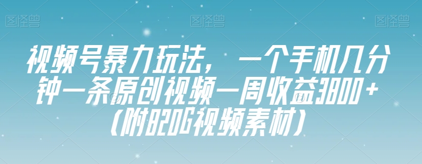 视频号暴力玩法，一个手机几分钟一条原创视频一周收益3800+（附820G视频素材）-南青云资源库