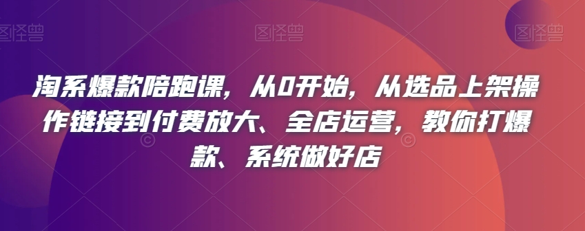 淘系爆款陪跑课，从0开始，从选品上架操作链接到付费放大、全店运营，教你打爆款、系统做好店-南青云资源库