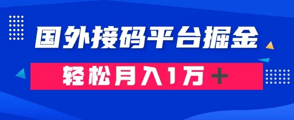 通过国外接码平台掘金：成本1.3，利润10＋，轻松月入1万＋【揭秘】-南青云资源库