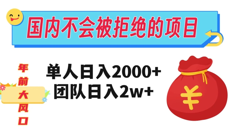 在国内不怕被拒绝的项目，单人日入2000，团队日入20000+【揭秘】-南青云资源库