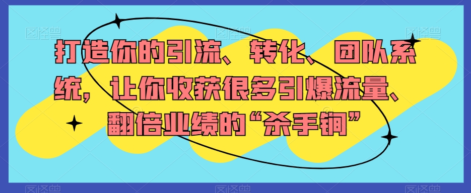 打造你的引流、转化、团队系统，让你收获很多引爆流量、翻倍业绩的“杀手锏”-南青云资源库