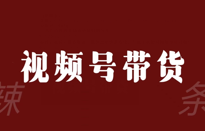 视频号带货联盟，赚信息差的带货钱，只需手机随时随地都可以做！-南青云资源库