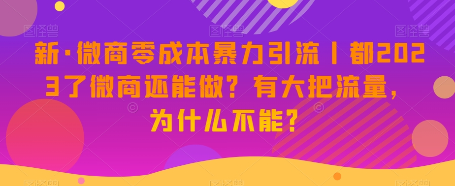 新·微商零成本暴力引流丨都2023了微商还能做？有大把流量，为什么不能？-南青云资源库