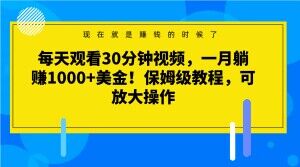 每天观看30分钟视频，一月躺赚1000+美金！保姆级教程，可放大操作【揭秘】-南青云资源库