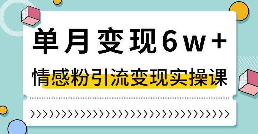 单月变现6W+，抖音情感粉引流变现实操课，小白可做，轻松上手，独家赛道【揭秘】-南青云资源库