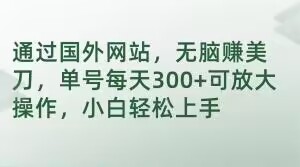 通过国外网站，无脑赚美刀，单号每天300+可放大操作，小白轻松上手【揭秘】-南青云资源库