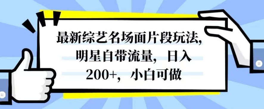 最新综艺名场面片段玩法，明星自带流量，日入200+，小白可做【揭秘】-南青云资源库