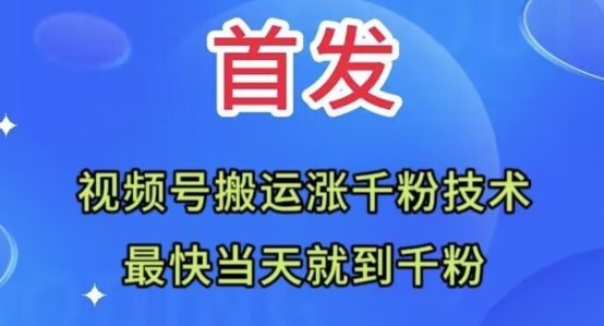 全网首发：视频号无脑搬运涨千粉技术，最快当天到千粉【揭秘】-南青云资源库