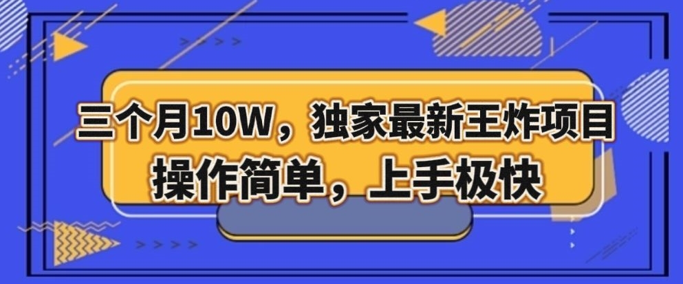 三个月10W，独家最新王炸项目！操作简单，上手极快【揭秘】-南青云资源库