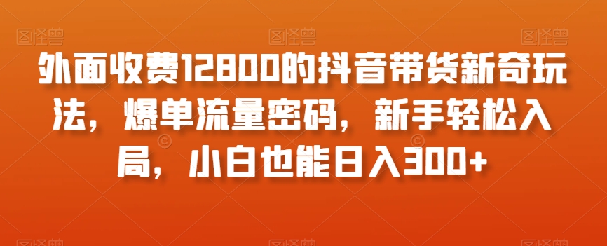 外面收费12800的抖音带货新奇玩法，爆单流量密码，新手轻松入局，小白也能日入300+【揭秘】-南青云资源库