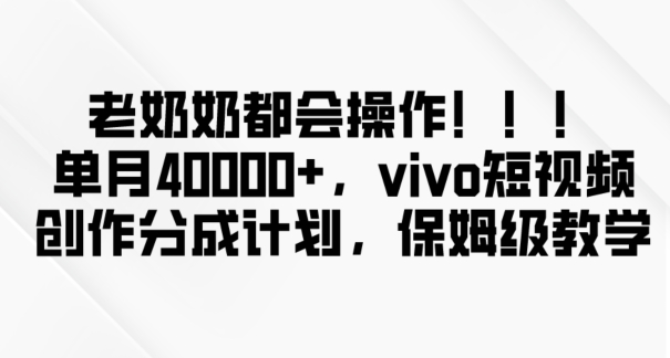 老奶奶都会操作，新平台无脑操作，单月40000+，vivo短视频创作分成计划【揭秘】-南青云资源库