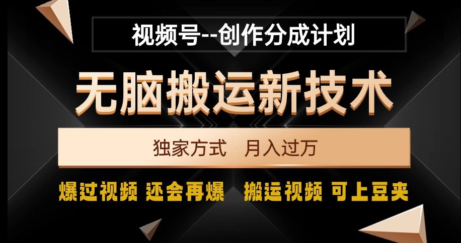 视频号无脑搬运新技术，破原创壕流量，独家方式，爆过视频，还会再爆【揭秘】-南青云资源库