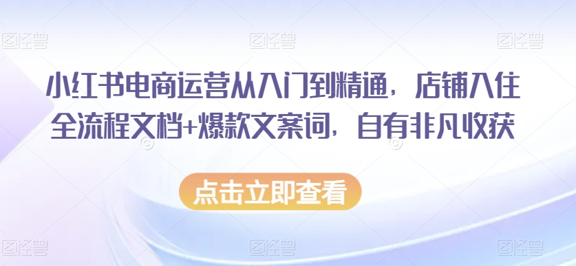 小红书电商运营从入门到精通，店铺入住全流程文档+爆款文案词，自有非凡收获-南青云资源库