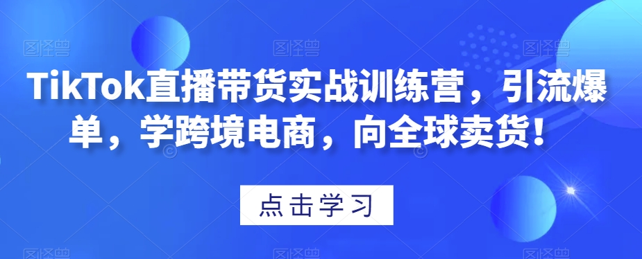 TikTok直播带货实战训练营，引流爆单，学跨境电商，向全球卖货！-南青云资源库