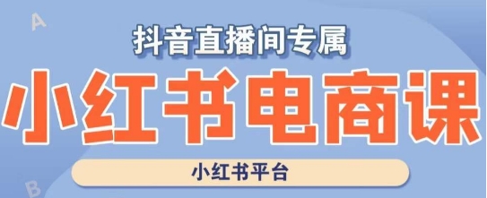 小红书电商高级运营课程，实操教学+案例分析-南青云资源库