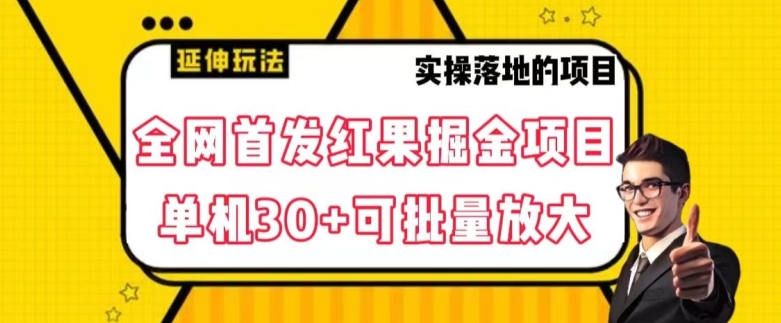 全网首发红果免费短剧掘金项目，单机30+可批量放大【揭秘】-南青云资源库