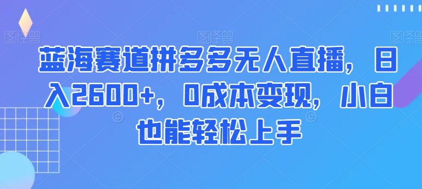 蓝海赛道拼多多无人直播，日入2600+，0成本变现，小白也能轻松上手【揭秘】-南青云资源库