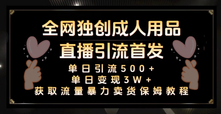 全网独创真人主播+无人直播单日引流500+，橙人用品暴力卖货单日变现3W+保姆似教学2.0【揭秘】-南青云资源库