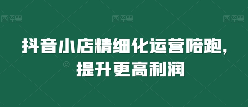 抖音小店精细化运营陪跑，提升更高利润-南青云资源库