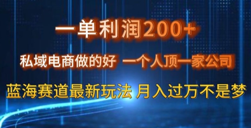 一单利润200私域电商做的好，一个人顶一家公司蓝海赛道最新玩法【揭秘】-南青云资源库