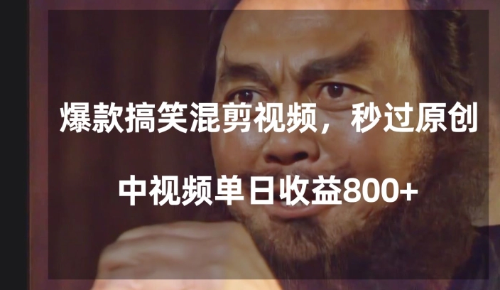 爆款搞笑混剪视频，百分百过原创，单日中视频播放收益800+【揭秘】-南青云资源库