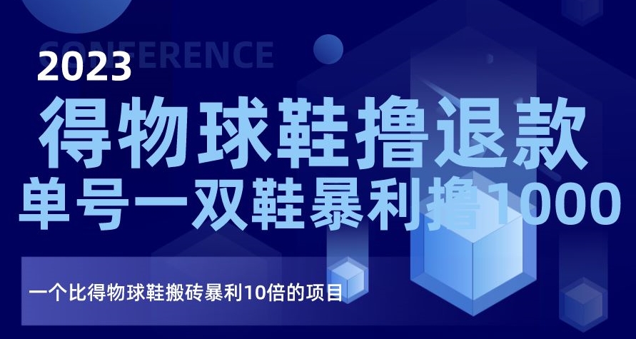 2023得物球鞋撸退款，单号一双鞋暴利撸1000，一个比得物球鞋搬砖暴利10倍的项目【揭秘】-南青云资源库