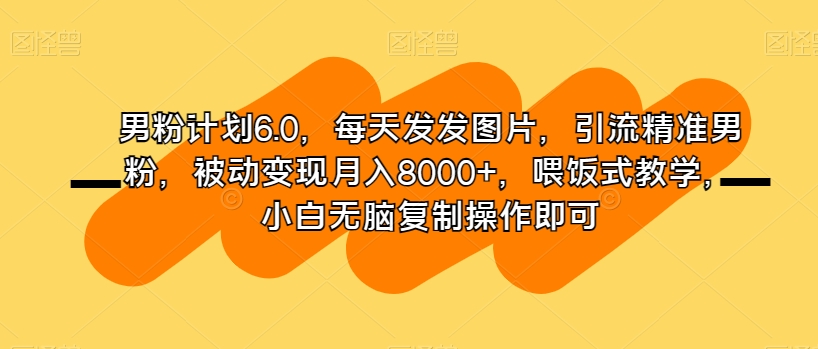 男粉计划6.0，每天发发图片，引流精准男粉，被动变现月入8000+，喂饭式教学，小白无脑复制操作即可-南青云资源库