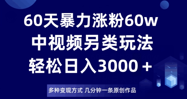 60天暴力涨粉60W，中视频另类玩法，日入3000＋，几分钟一条原创作品多种变现方式-南青云资源库
