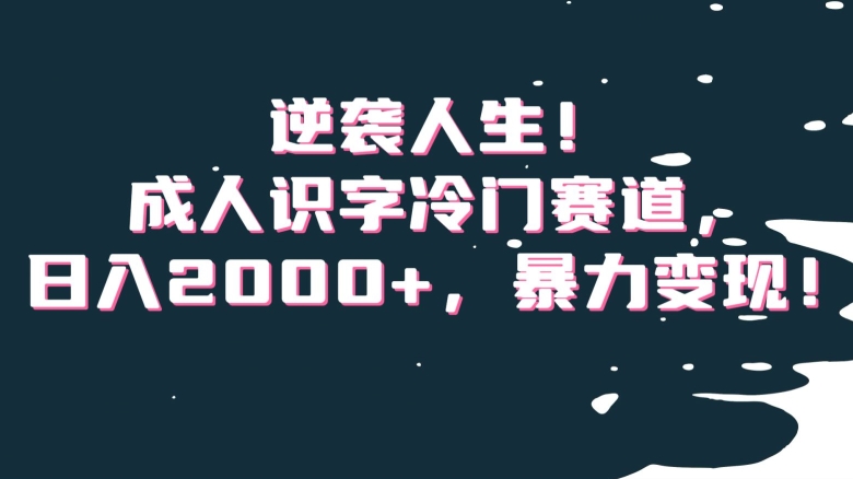 逆袭人生！成人识字冷门赛道，日入2000+，暴力变现！【揭秘】-南青云资源库