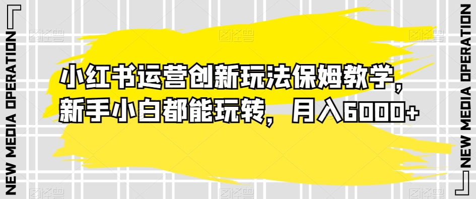 小红书运营创新玩法保姆教学，新手小白都能玩转，月入6000+【揭秘】-南青云资源库
