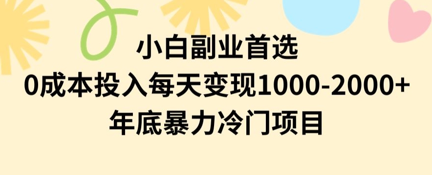 小白副业首选，0成本投入，每天变现1000-2000年底暴力冷门项目【揭秘】-南青云资源库