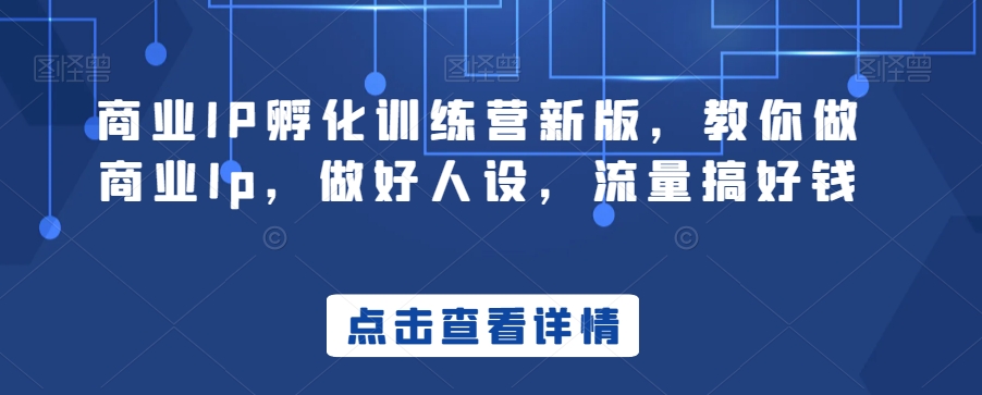 商业IP孵化训练营新版，教你做商业Ip，做好人设，流量搞好钱-南青云资源库